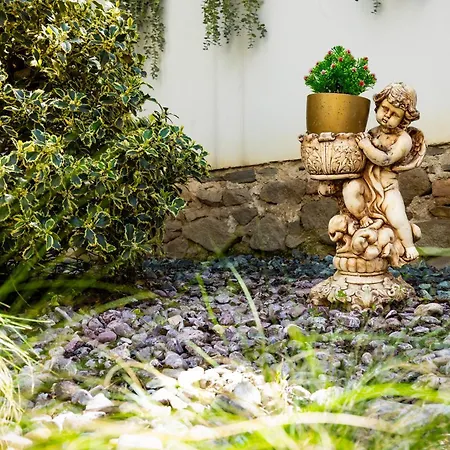 Old Town 2br Spacious House With Private Garden And Free Parking * بلوفديف